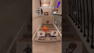 Air Corgi Predicts The WNBA Finals