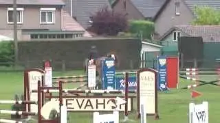RIP: Indira van Het Poeleind: Nabab de R&ecirc;ve X Cash, &deg;2008, 5Y Zonhoven 2013