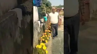 मेरे महबूब #bollywood #song #hindisong 1960# super hit # flower # garden # shorts # yt short # viral