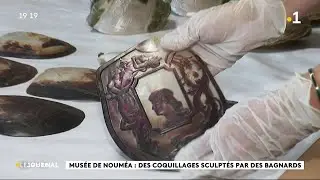 Musée de Nouméa : des coquillages sculptés par les bagnards.