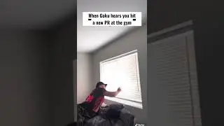 It wasn&rsquo;t me I swear