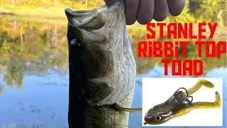 Stanley Ribbit Top Toad Frog bass fishing catches bass!
