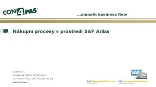 Webinář con4PAS: Nákupní procesy v prostředí SAP Ariba | 16. března 2021