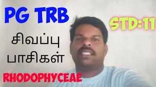 Pg trb  botany Rhodophyceae family@Biology easy