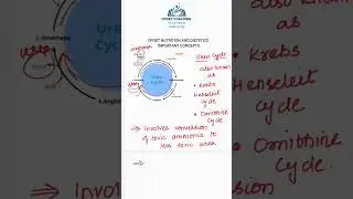 CPGET NUTRITION important topic: Urea Cycle explanation #cpget