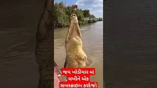 Jay Khodiyar maa ❤️&zwj;🔥 😱||Khodiyar maa ka 💥|#maa #khodiyar #khodiyarma #aashapura #shorts