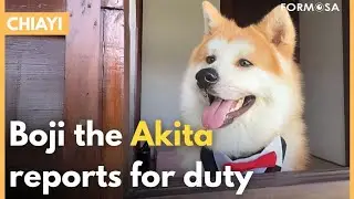 Alishan railway stop gets new Akita station master｜Taiwan News