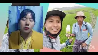 Transform plus ထူးခြားချက်