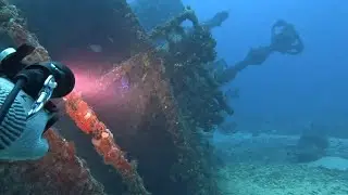 Governors Riverwalk - West Palm Beach, FL Wreck Diving