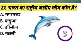  सामान्य ज्ञान सवाल&ndash;जवाब की पाठशाला  GK General Knowledge Hub GKWorld  GK हिंदी