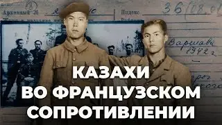 Туркестанский легион, Мустафа Шокай и казахи во французском Сопротивлении – что скрывали архивы