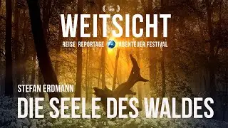 Die Seele des Waldes_Weitsicht Festival 2025