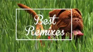 SRTW ft. Charity Children - Whispering Still (Little Rose Remix)