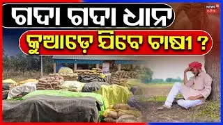 ଗଦା ଗଦା ଧାନ, କୁଆଡ଼େ ଯିବେ ଚାଷୀ । Farmer Problem। Sonepur। Odisha। Mohan Majhi । Odia News