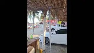 🔴 asi te preparan el pescado Sarandeado en las islitas sanblas nayarit 😎#viralvideo#food#reelsviral