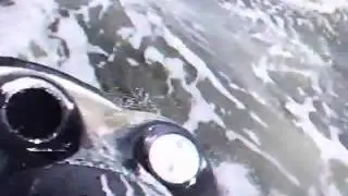 JRacer RacerCAM 800Class