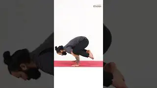 How to Practice Crow Pose. #crowpose #kakasana