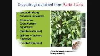 Medicinal Plants or Drug Yielding Plants