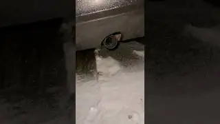 - 10 degrees Cold start vs normal