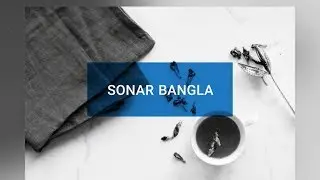 SONAR BANGLA | Overview of Ready Made Garments (RMG) Industry of Bangladesh | Fibre2Fashion