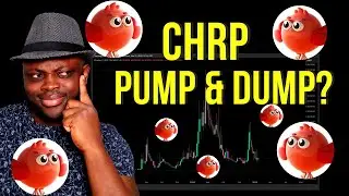 Chirpley CHRP Crypto: Legit or Just Another Pump & Dump Coin?