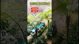 ⛔TRAVELING DI HUTAN #shorts #music #traveling