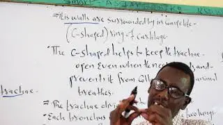 Form3|Biology|Lesson five| sh.ibrahim sh.yusuf sh.madar Ex-gacan libax| Teacher:Mowlid ibrahim Yonis