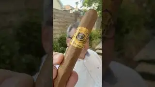 Hoyo de Monterrey Excalibur Epicure &ndash; A Classic Smoke for Every Occasion #shorts