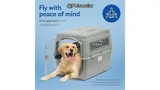 Petmate Sky Kennel Review: Is This Airline-Approved Dog Crate Worth the Investment?