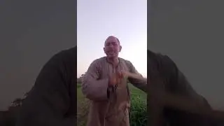 لا امان للبشر