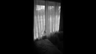 Bay Window- Stories from the Vault