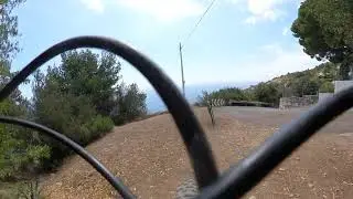 trail Joker cervo