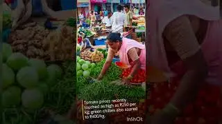 india start import of tamotos from nepal #tamota #shorts #india