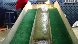 SC Fair Duck Slide