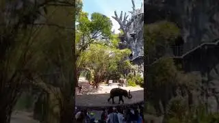 playing football by elephant #shorts #youtubeshorts #football