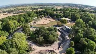 African Forest update: July 2025!