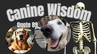 🤔💭 BONES🤔🦴😏....CANINE WISDOM🐕 DOG QUOTE OF THE DAY #89
