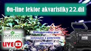 Profiplants - videoškola akvaristiky Díl 22 - 19.8.2023 v 16 hodin
