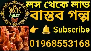 সফল খামারির গল্প 🐔💰 | শূন্য থেকে সফল Poultry Farmer | BKpulet