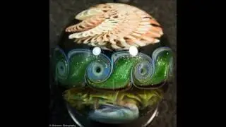 exp green pearl implosion