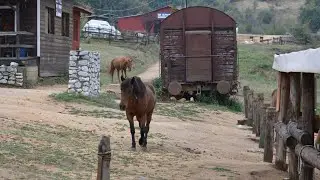 WESTERN CITY GREECE