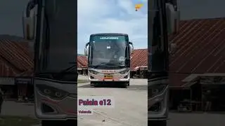 Bus Palala e12 