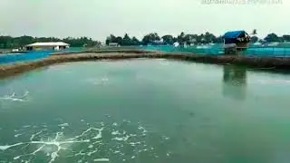 Boifloc ,fish farming, biofloc air blower ,aquaculture blower,new technology 9268822202