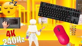 Hyperx Alloy FPS PRO ASMR 😴 Box Fight Gameplay 📦 Satisfying Keyboard Fortnite 4K 240 FPS 🏆