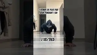 1 pompe de plus tous les jours pendant 1 an ! Jour 18/365 #sports #motivation