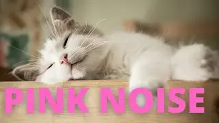 Pink Noise for Cats