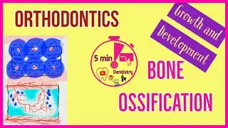 ORTHODONTICS | GROWTH AND DEVELOPMENT | BONE OSSIFICATION | easy dental lecture | 5 min DENTISTRY