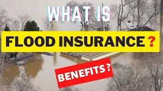 What is Flood Insurance ? | Basics & Benefits of Flood insurance.🏡 🌊