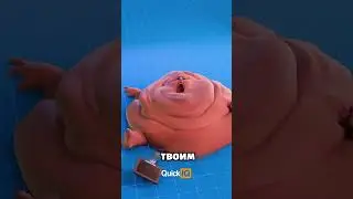 Безумные факты и немного науки #short #shorts #факты #наука #истории #on #rek #rge #fyp #foryou