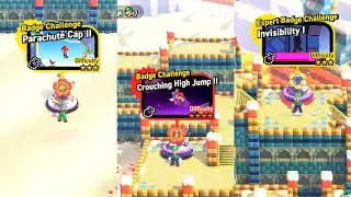 SUPER MARIO BROS. WONDER 4-B Badge Challenges (Purple Coins, Wonder Seeds, & Flagpole) World 4